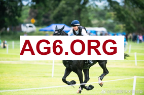 实时转播：莱斯特城与西汉姆联